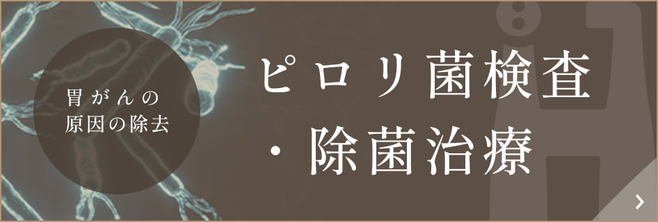 ピロリ菌検査・除菌治療バナー