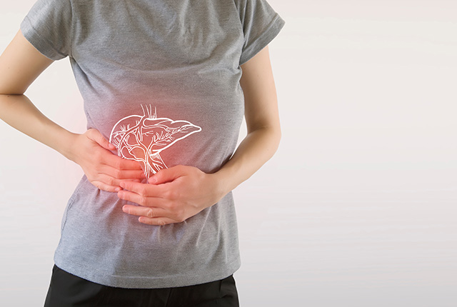 右腹部を押さえる女性と肝臓・胆嚢のイラスト