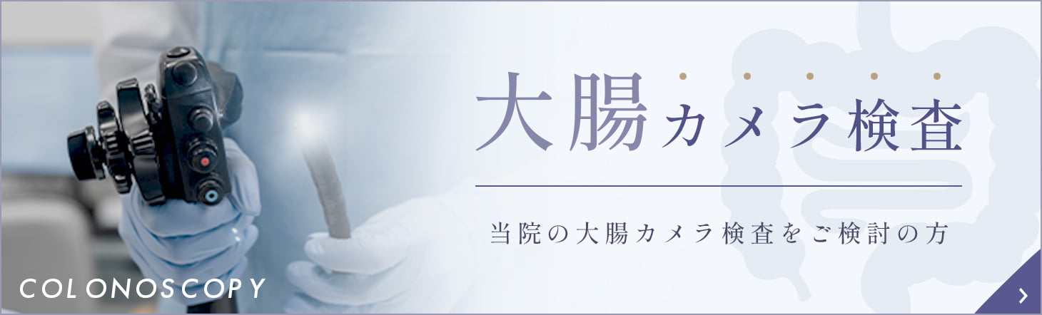 大腸カメラ検査 当院の大腸カメラ検査をご検討の方