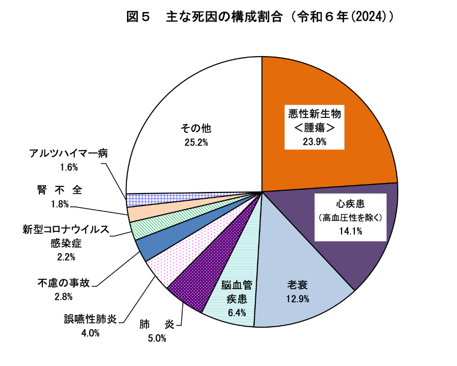 主な死因の構成割合（令和6年（2024））